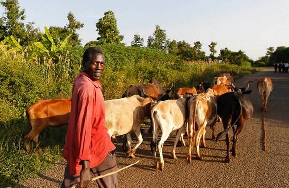 تصاویر : محله اجدادی اوباما