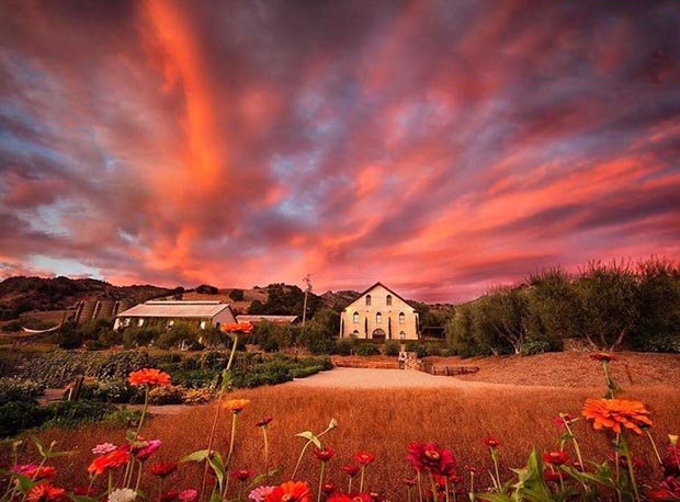 غروب دیدنی در کالیفرنیا/ عکس