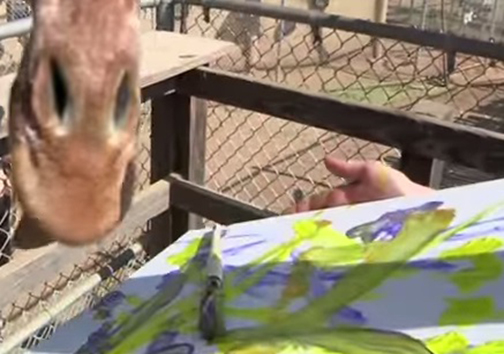 حیوانات یک باغ‌وحش در نیوزیلند کار می‌کنند و هزینه نگهداری خود را تأمین می‌کنند!