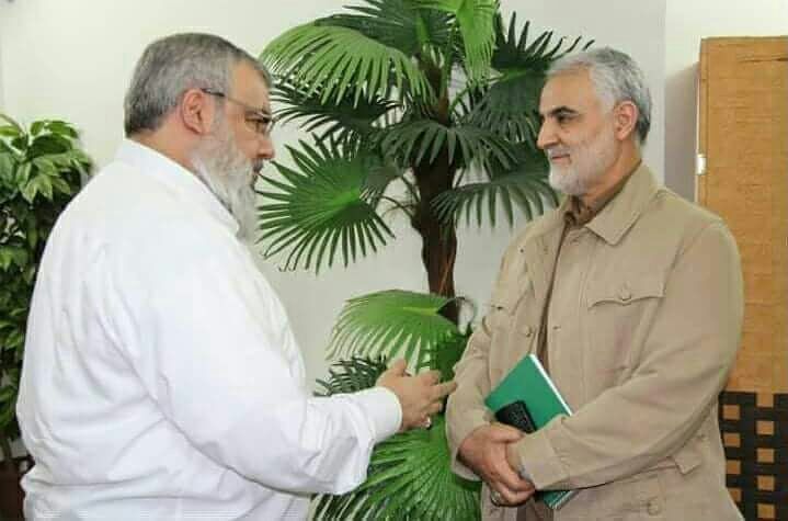 photo5830345700217564499