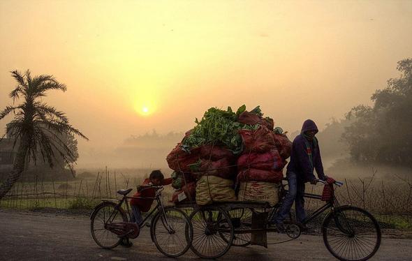 تصاویر : جهان رو به فقر و گرسنگی