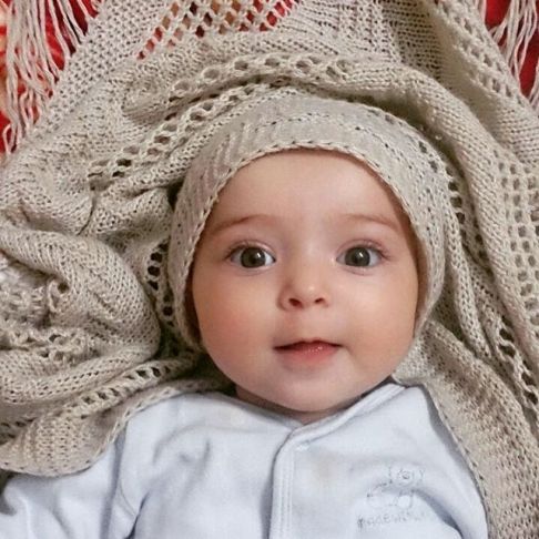 عکس گندم دختر آزاده نامداری