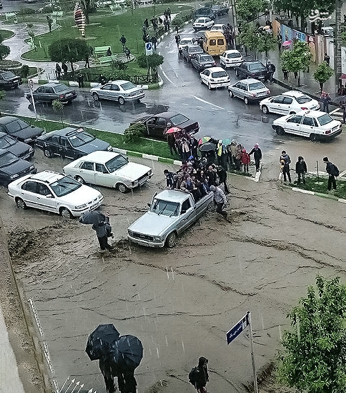 وانتی با معرفت/ عکس