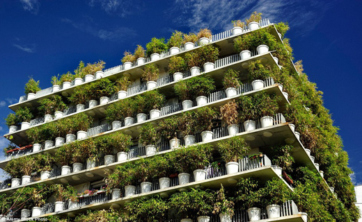 آپارتمان گلدان ها در پاریس + تصاویر