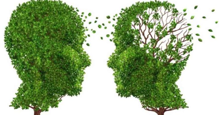 یک تست هوش ساده برای تشخیص زودهنگام آلزایمر