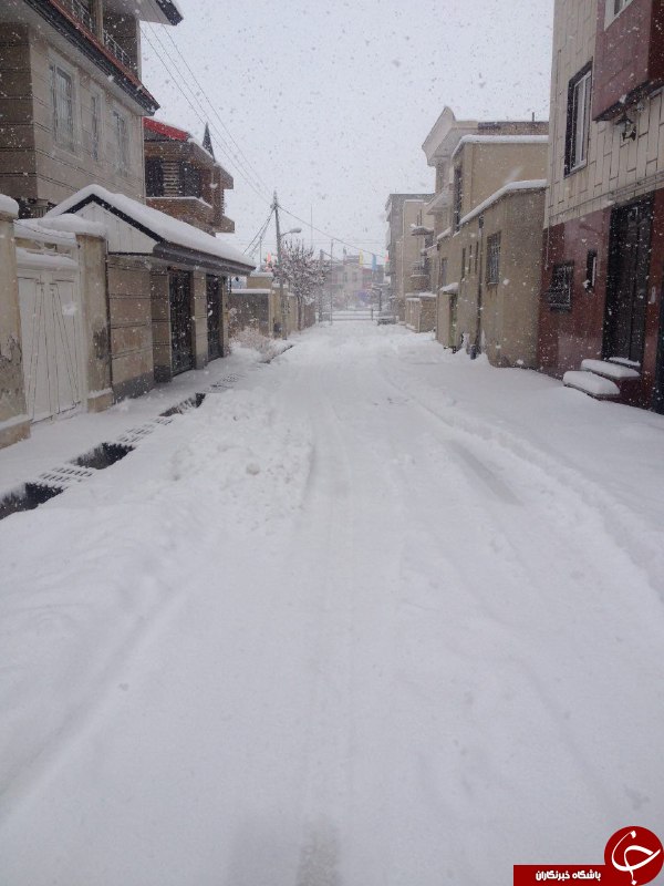 چهار فصل ایران را باید دید +تصاویر