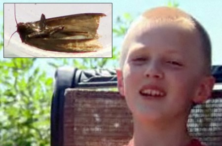 چندش‌آورترین چیزهایی که در گوش پیدا شوده‌اند+تصاویر