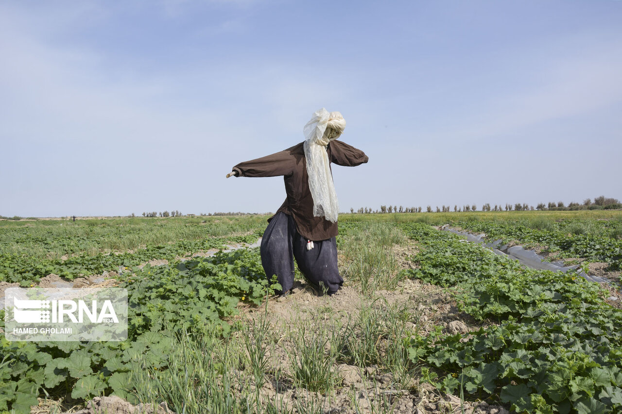 اخبار مهم 24 ساعت گذشته: ضدونقيض‌های پرونده طوسی/ سرنوشت سعيد طوسی چه می‌شود؟