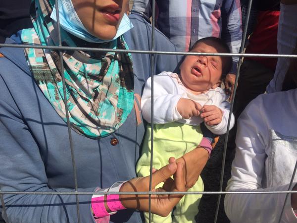 (تصاویر) پناهجویان سوری در قفس