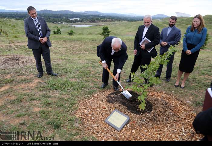 درختکاری ظریف در استرالیا/عکس