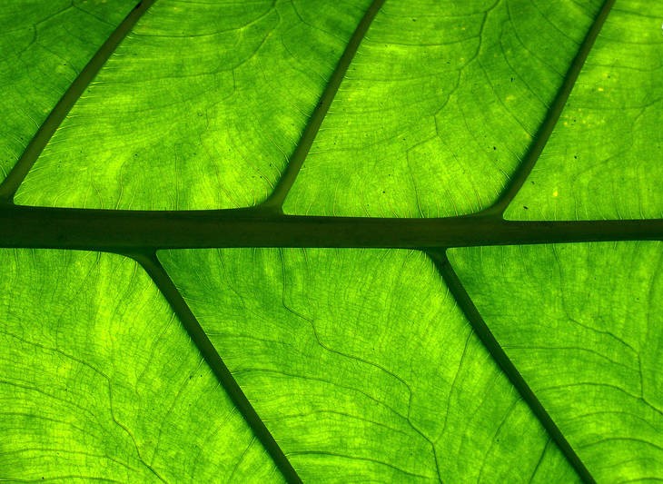 پایگاه تحلیلی خبری نامه نیوز