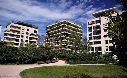 آپارتمان گلدان ها در پاریس + تصاویر