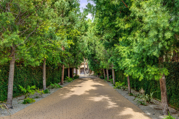 مسیر ماشین رو این ویلا از در ورودی تا در اصلی عمارت با آجرهای زرد کفپوش شده و دو طرف خیابانش نیز درختکاری شده است.