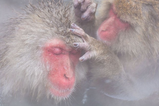 عکس روز نشنال جئوگرافیک