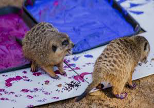 حیوانات یک باغ‌وحش در نیوزیلند کار می‌کنند و هزینه نگهداری خود را تأمین می‌کنند!