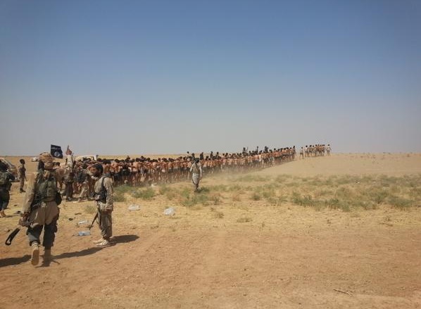 «داعش» 250 سرباز را در سوریه اعدام و روی هم تلنبار کرد /تصاویر (18+)