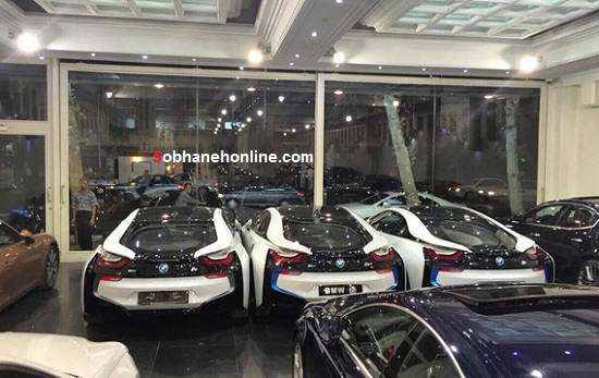 3 قلوهای میلیاردی در تهران/عکس