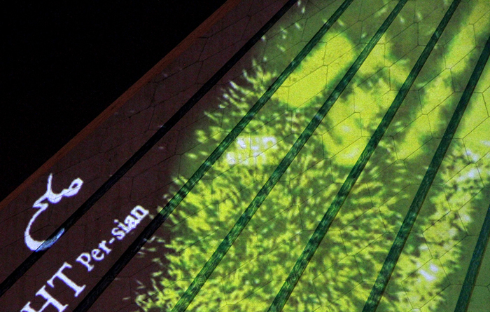 (تصاویر) رقص‌نور هنرمند آلمانی در برج آزادی