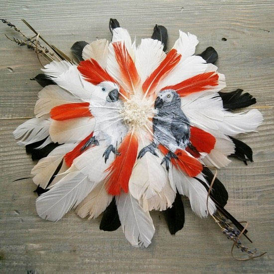 نقاشی بر روی پر پرندگان + عکس