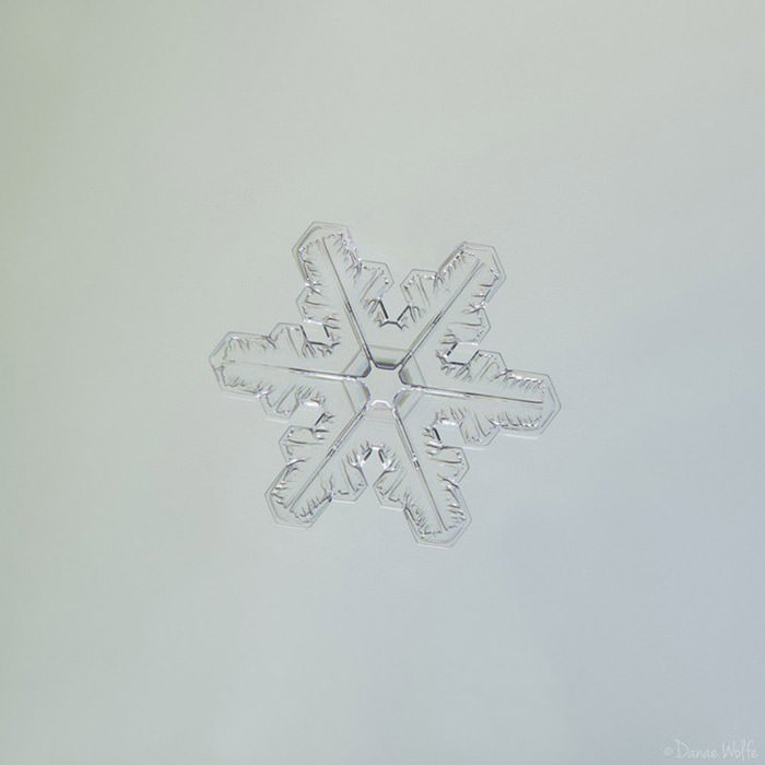 عکس ماکرو از دانه‌ی برف