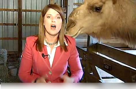 به خطر افتادن جان یک خبرنگار در اجرای یک برنامه زنده + عکس