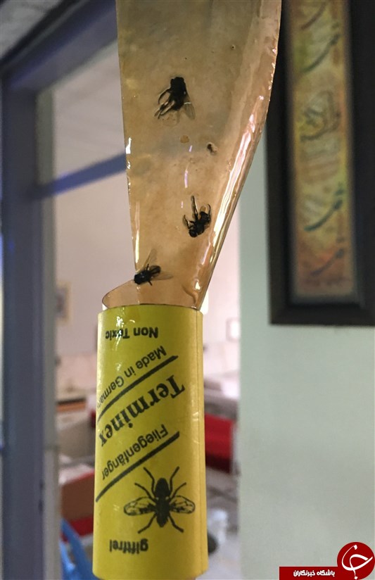 گزارشی از زندگی در همسایگی قبرفروش‌های تهران + عکس