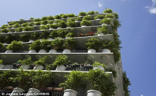 آپارتمان گلدان ها در پاریس + تصاویر