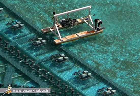 آبنمای شهر دوبی