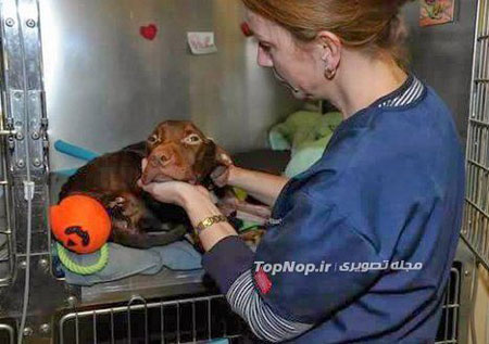 نجات از مرگ حتمی