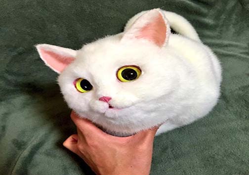 جدیدترین و عجیب‌ترین مد در ژاپن + تصاویر