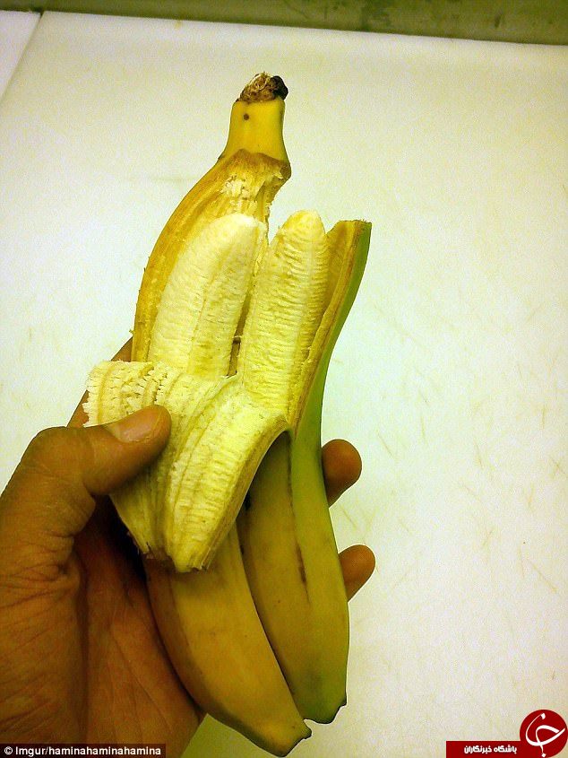 میوه‌های عجیب الخلقه در سراسر جهان+ تصاویر