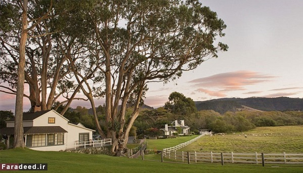 هتل‌های هنرمندان