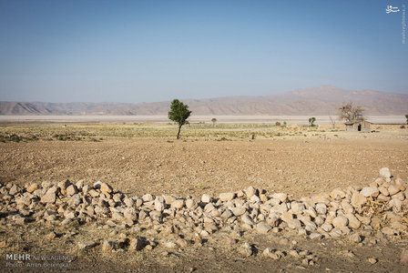 بسیاری از صاحبان باغ های حاشیه دریاچه بدلیل نداشتن آب کافی برای آبیاری درختان خود آنها را قطع کردند تا زمین را آماده تغییر کاربری نمایند. بسیاری از زمین های کشاورزی نیز بلااستفاده رها مانده اند و به محل چرای دام تبدیل شده است.br / 