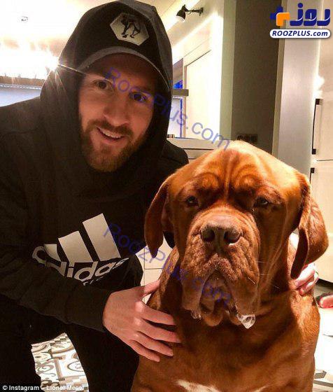 سگ خطرناک و گران قیمت لیونل مسی را ببینید /عکس