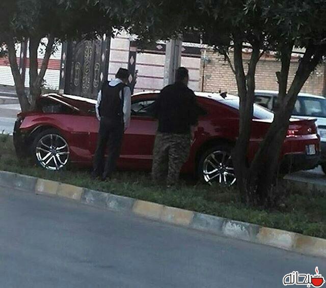 تصادف کامارو با درختان اهواز/ عکس