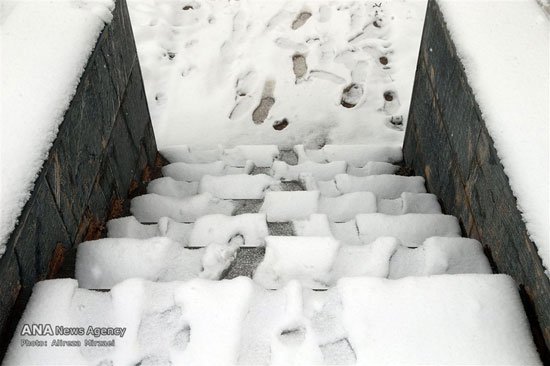 عکس: بارش برف در ارتفاعات تهران