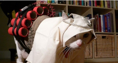 داعش‌به‌گربه‌هاهم‌کمربندانتحاری‌بست!/تصاویر