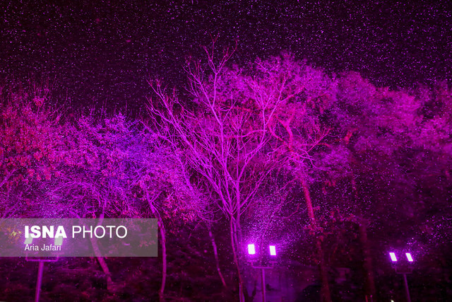 بارش برف - اصفهان