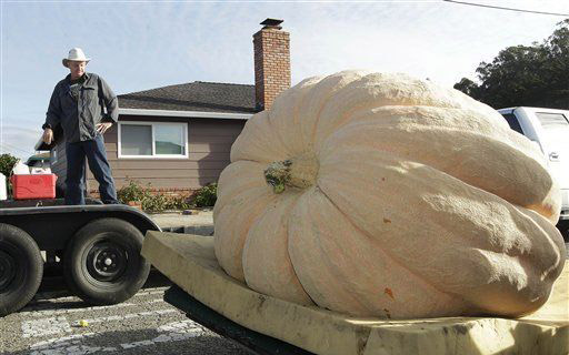 عجیب ترین مسابقه برگزار شده در آمریکا! +عکس