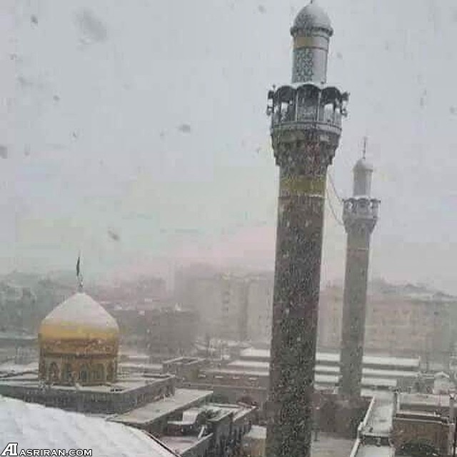 حرم حضرت زینب سفید پوش شد/ عکس