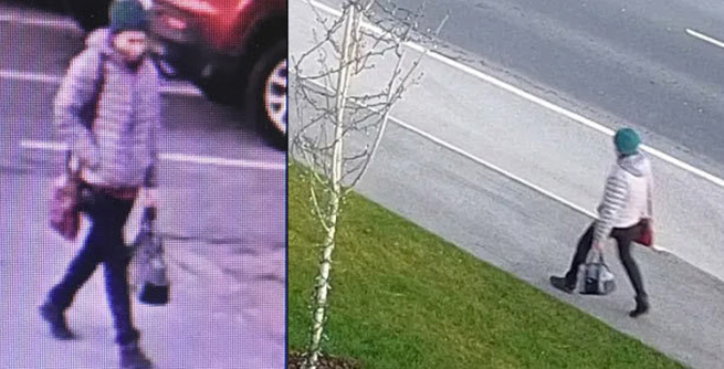 قتل مرموز خانم دکتر ایرانی در کانادا / جسد عاطفه جدیدیان کجا پیدا شد؟! + عکس