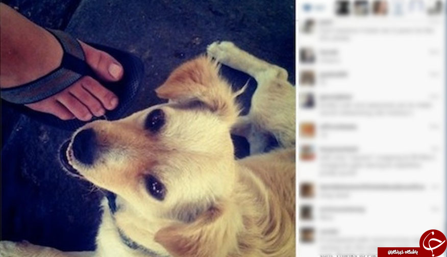 اولین عکس پست شده در اینستاگرام/////در حال کار