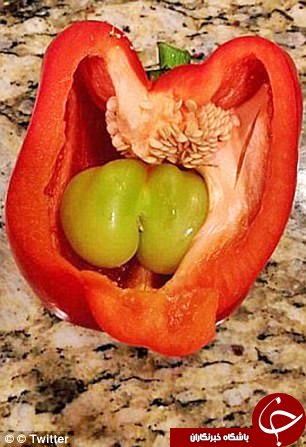 میوه‌های عجیب الخلقه در سراسر جهان+ تصاویر