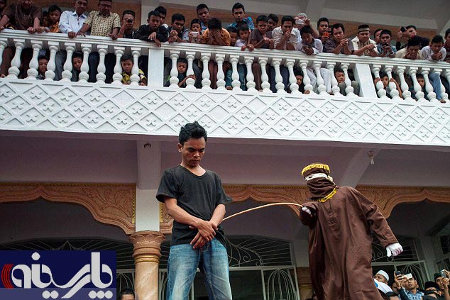 عکس/ تنبیه علنی 8 قمارباز در اندونزی