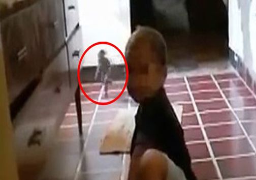 عکس این موجود جن مانند تا کنون 11.5 میلیون بیننده داشته است!