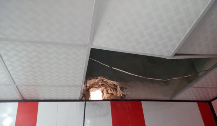 سرقت عجیب از یک مغازه+عکس