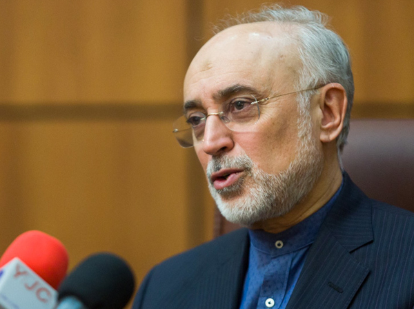 صالحی: اقدام بازرس آژانس را در راستای «استاکس‌نت» می‌دانیم / هدف ایران حفظ برجام است