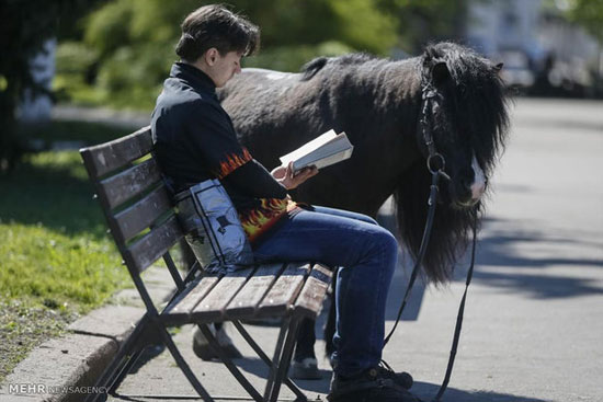 حیوانات دست آموز نامتعارف