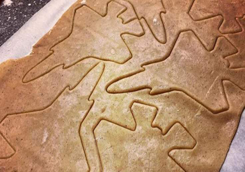 عذرخواهی دولت نروژ به خاطر انتشار یک عکس در اینستاگرام + تصویر