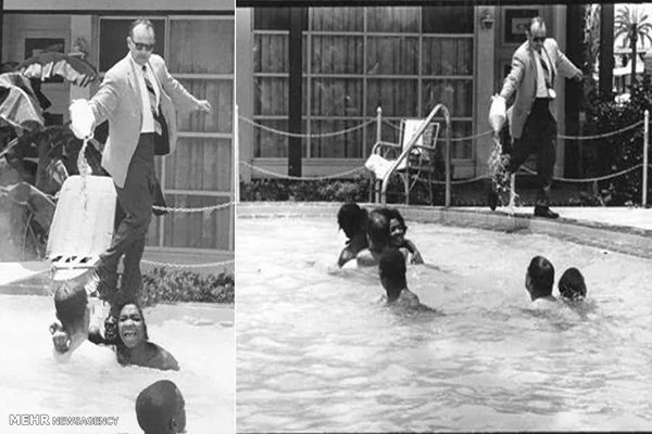 عکس هایی که دلتان نمی خواهد، ببینید!